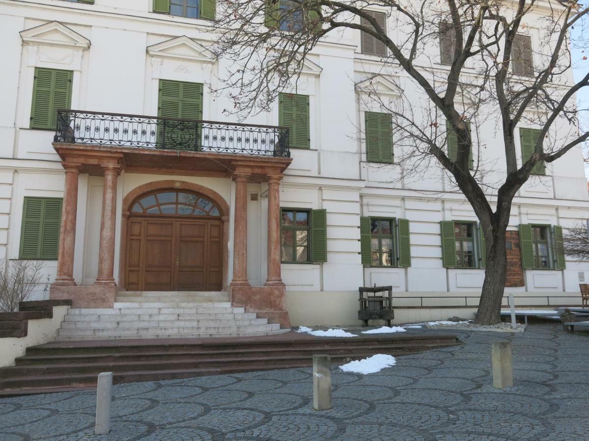 Horvath Villa Apartman Aliz バラトンフレド エクステリア 写真